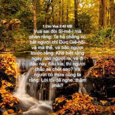 Picture 04 - 1 Các Vua 2:42 VIE - Vua sai đòi Si-mê-i mà phán rằng: Ta há - Bible Verse Picture