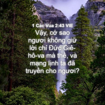 Picture 04 - 1 Các Vua 2:43 VIE - Vậy, cớ sao ngươi không giữ lời chỉ - Bible Verse Picture