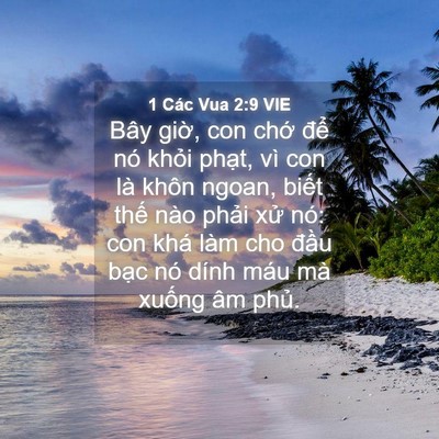 Picture 04 - 1 Các Vua 2:9 VIE - Bây giờ, con chớ để nó khỏi phạt, - Bible Verse Picture