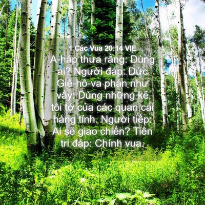 Picture 04 - 1 Các Vua 20:14 VIE - A-háp thưa rằng: Dùng ai? Người đáp: - Bible Verse Picture