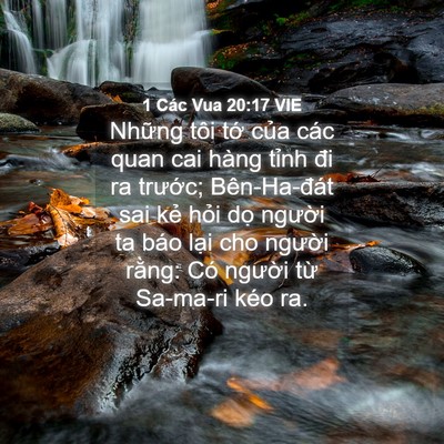 Picture 04 - 1 Các Vua 20:17 VIE - Những tôi tớ của các quan cai hàng - Bible Verse Picture