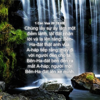 Picture 04 - 1 Các Vua 20:33 VIE - Chúng lấy sự ấy làm một điềm lành, - Bible Verse Picture