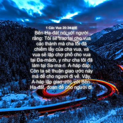 Picture 04 - 1 Các Vua 20:34 VIE - Bên-Ha-đát nói với người rằng: Tôi - Bible Verse Picture