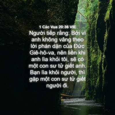 Picture 04 - 1 Các Vua 20:36 VIE - Người tiếp rằng: Bởi vì anh không - Bible Verse Picture