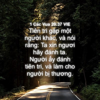 Picture 04 - 1 Các Vua 20:37 VIE - Tiên tri gặp một người khác, và nói - Bible Verse Picture