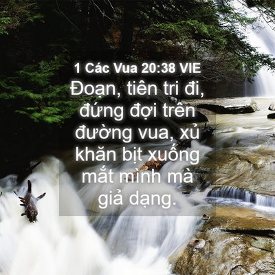 Picture 04 - 1 Các Vua 20:38 VIE - Đoạn, tiên tri đi, đứng đợi trên - Bible Verse Picture