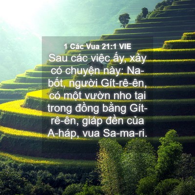 Picture 04 - 1 Các Vua 21:1 VIE - Sau các việc ấy, xảy có chuyện này: - Bible Verse Picture