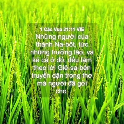Picture 04 - 1 Các Vua 21:11 VIE - Những người của thành Na-bốt, tức - Bible Verse Picture