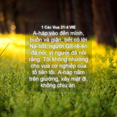 Picture 04 - 1 Các Vua 21:4 VIE - A-háp vào đền mình, buồn và giận, - Bible Verse Picture