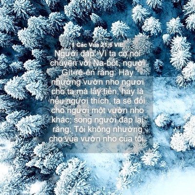 Picture 04 - 1 Các Vua 21:6 VIE - Người đáp: Vì ta có nói chuyện với - Bible Verse Picture