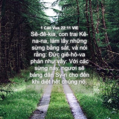 Picture 04 - 1 Các Vua 22:11 VIE - Sê-đê-kia, con trai Kê-na-na, làm lấy - Bible Verse Picture