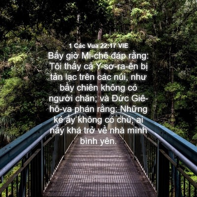 Picture 04 - 1 Các Vua 22:17 VIE - Bấy giờ Mi-chê đáp rằng: Tôi thấy - Bible Verse Picture