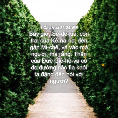 Picture 04 - 1 Các Vua 22:24 VIE - Bấy giờ, Sê-đê-kia, con trai của - Bible Verse Picture