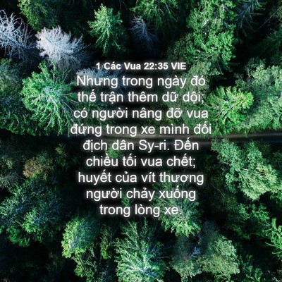 Picture 04 - 1 Các Vua 22:35 VIE - Nhưng trong ngày đó thế trận thêm dữ - Bible Verse Picture
