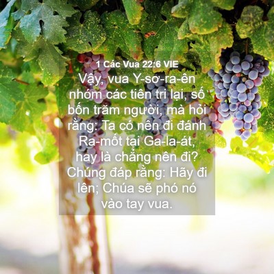 Picture 04 - 1 Các Vua 22:6 VIE - Vậy, vua Y-sơ-ra-ên nhóm các tiên tri - Bible Verse Picture