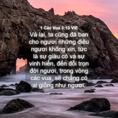 Picture 04 - 1 Các Vua 3:13 VIE - Vả lại, ta cũng đã ban cho ngươi những - Bible Verse Picture