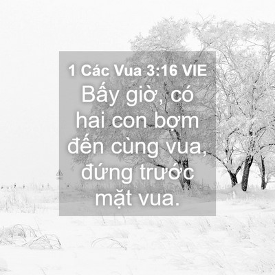 Picture 04 - 1 Các Vua 3:16 VIE - Bấy giờ, có hai con bợm đến cùng vua, - Bible Verse Picture