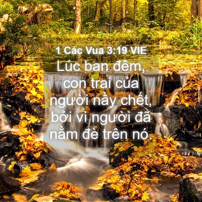 Picture 04 - 1 Các Vua 3:19 VIE - Lúc ban đêm, con trai của người nầy - Bible Verse Picture