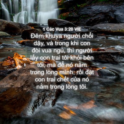 Picture 04 - 1 Các Vua 3:20 VIE - Đêm khuya người chổi dậy, và trong khi - Bible Verse Picture