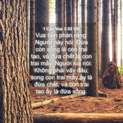 Picture 04 - 1 Các Vua 3:23 VIE - Vua bèn phán rằng: Người này nói: Đứa - Bible Verse Picture