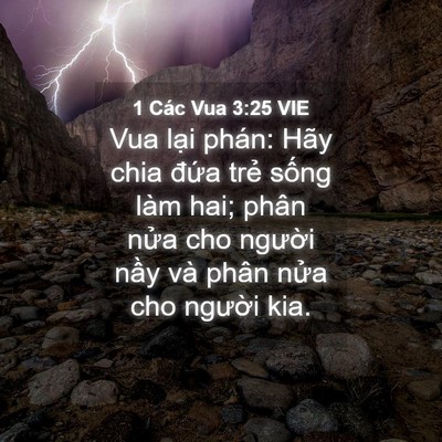 Picture 04 - 1 Các Vua 3:25 VIE - Vua lại phán: Hãy chia đứa trẻ sống - Bible Verse Picture