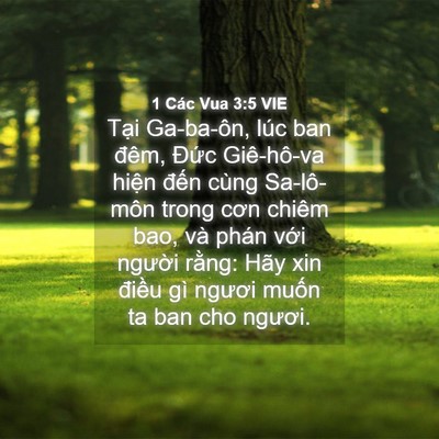 Picture 04 - 1 Các Vua 3:5 VIE - Tại Ga-ba-ôn, lúc ban đêm, Đức - Bible Verse Picture