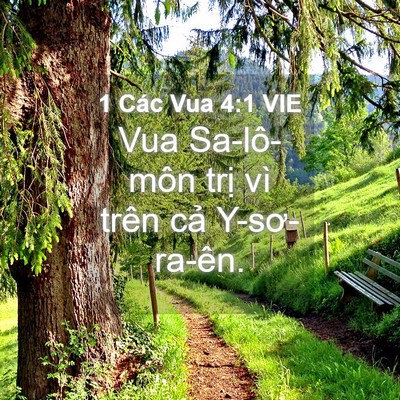 Picture 04 - 1 Các Vua 4:1 VIE - Vua Sa-lô-môn trị vì trên cả - Bible Verse Picture