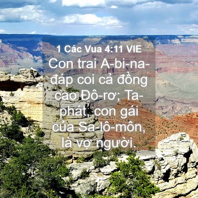 Picture 04 - 1 Các Vua 4:11 VIE - Con trai A-bi-na-đáp coi cả đồng cao - Bible Verse Picture