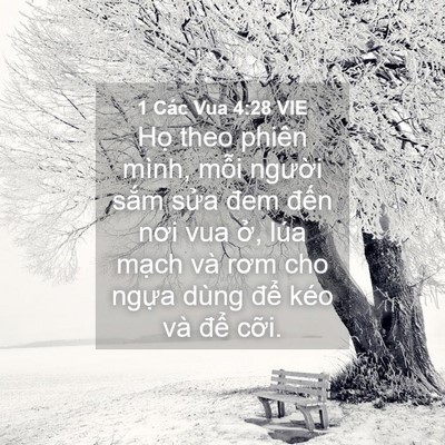 Picture 04 - 1 Các Vua 4:28 VIE - Họ theo phiên mình, mỗi người sắm - Bible Verse Picture