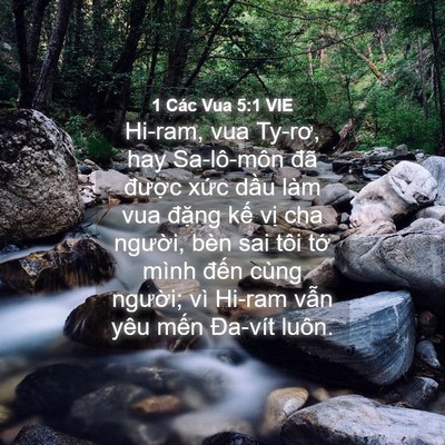 Picture 04 - 1 Các Vua 5:1 VIE - Hi-ram, vua Ty-rơ, hay Sa-lô-môn đã được - Bible Verse Picture