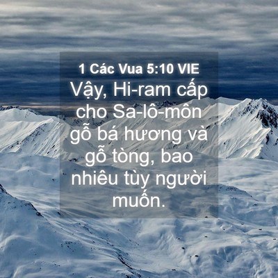 Picture 04 - 1 Các Vua 5:10 VIE - Vậy, Hi-ram cấp cho Sa-lô-môn gỗ bá - Bible Verse Picture