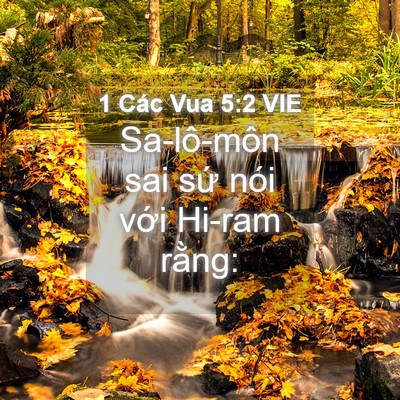 Picture 04 - 1 Các Vua 5:2 VIE - Sa-lô-môn sai sứ nói với Hi-ram - Bible Verse Picture
