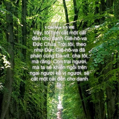 Picture 04 - 1 Các Vua 5:5 VIE - Vậy, tôi tính cất một cái đền cho - Bible Verse Picture