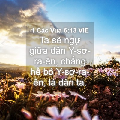 Picture 04 - 1 Các Vua 6:13 VIE - Ta sẽ ngự giữa dân Y-sơ-ra-ên, chẳng - Bible Verse Picture