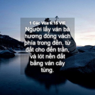 Picture 04 - 1 Các Vua 6:15 VIE - Người lấy ván bá hương đóng vách - Bible Verse Picture