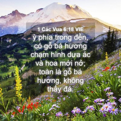 Picture 04 - 1 Các Vua 6:18 VIE - ỳ phía trong đền, có gỗ bá hương - Bible Verse Picture