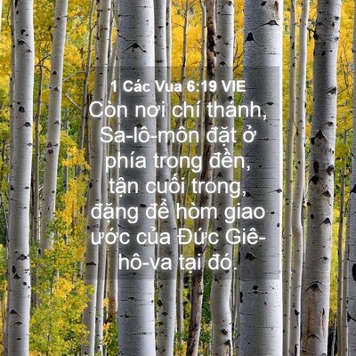 Picture 04 - 1 Các Vua 6:19 VIE - Còn nơi chí thánh, Sa-lô-môn đặt ở - Bible Verse Picture