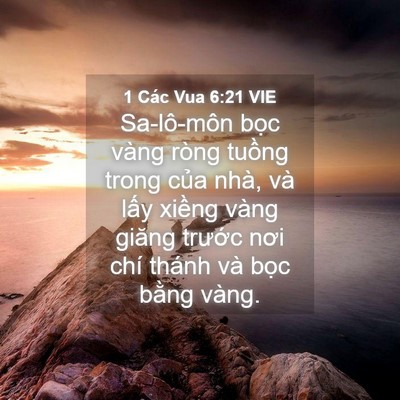 Picture 04 - 1 Các Vua 6:21 VIE - Sa-lô-môn bọc vàng ròng tuồng trong của - Bible Verse Picture