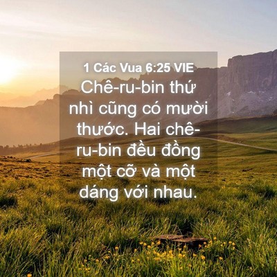 Picture 04 - 1 Các Vua 6:25 VIE - Chê-ru-bin thứ nhì cũng có mười - Bible Verse Picture