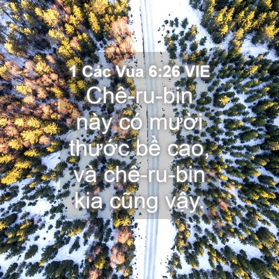 Picture 04 - 1 Các Vua 6:26 VIE - Chê-ru-bin này có mười thước bề cao, - Bible Verse Picture