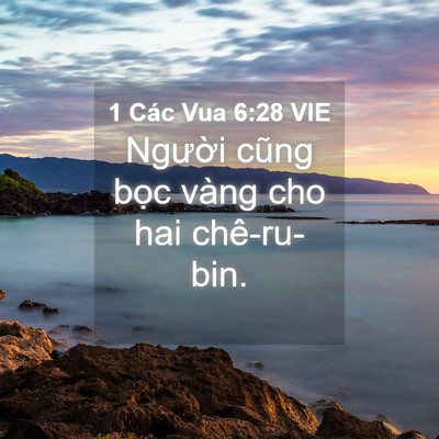 Picture 04 - 1 Các Vua 6:28 VIE - Người cũng bọc vàng cho hai - Bible Verse Picture
