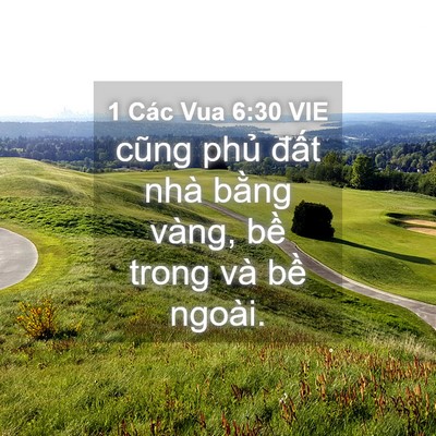 Picture 04 - 1 Các Vua 6:30 VIE - cũng phủ đất nhà bằng vàng, bề trong - Bible Verse Picture