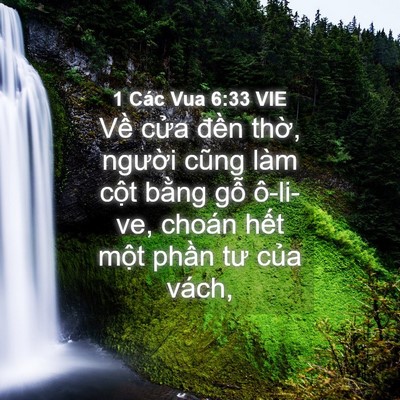 Picture 04 - 1 Các Vua 6:33 VIE - Về cửa đền thờ, người cũng làm - Bible Verse Picture