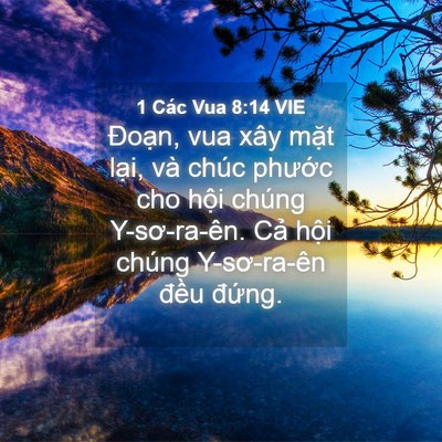 Picture 04 - 1 Các Vua 8:14 VIE - Đoạn, vua xây mặt lại, và chúc phước - Bible Verse Picture
