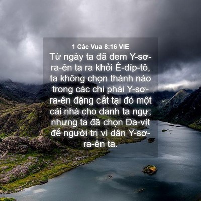 Picture 04 - 1 Các Vua 8:16 VIE - Từ ngày ta đã đem Y-sơ-ra-ên ta ra khỏi - Bible Verse Picture