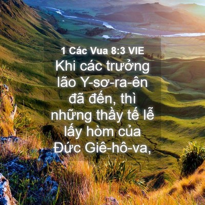 Picture 04 - 1 Các Vua 8:3 VIE - Khi các trưởng lão Y-sơ-ra-ên đã đến, - Bible Verse Picture