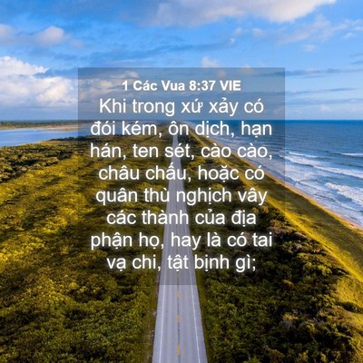 Picture 04 - 1 Các Vua 8:37 VIE - Khi trong xứ xảy có đói kém, ôn dịch, - Bible Verse Picture