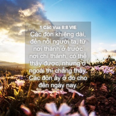Picture 04 - 1 Các Vua 8:8 VIE - Các đòn khiêng dài, đến nỗi người - Bible Verse Picture