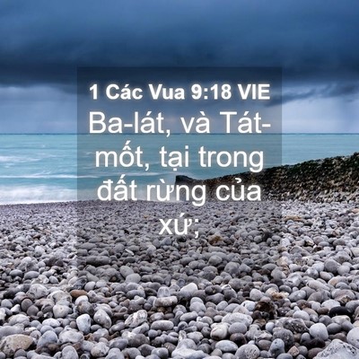 Picture 04 - 1 Các Vua 9:18 VIE - Ba-lát, và Tát-mốt, tại trong đất - Bible Verse Picture