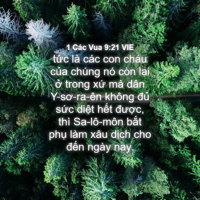 Picture 04 - 1 Các Vua 9:21 VIE - tức là các con cháu của chúng nó còn - Bible Verse Picture